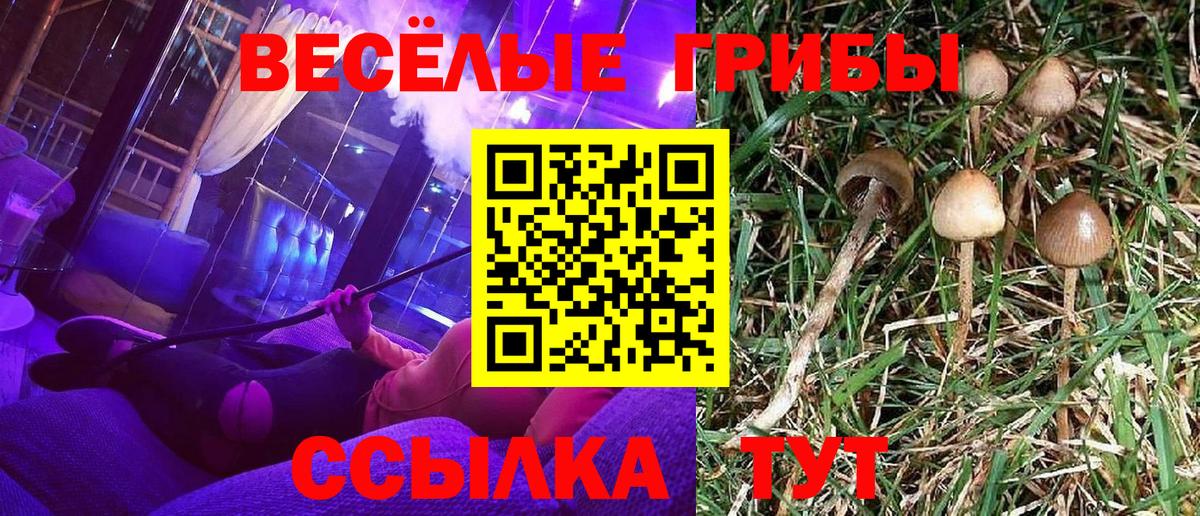 Галлюциногенные грибы MAGIC MUSHROOMS Узловая