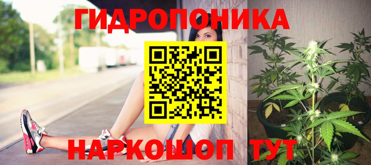 Бошки марихуана тримм  Вход с VPN  Каннабис Bruce Banner  Марихуана марихуана  Узловая 